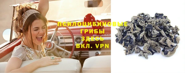 2c-b Абдулино