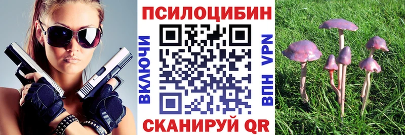 Псилоцибиновые грибы Psilocybine cubensis ссылка на мегу tor shop формула Алагир